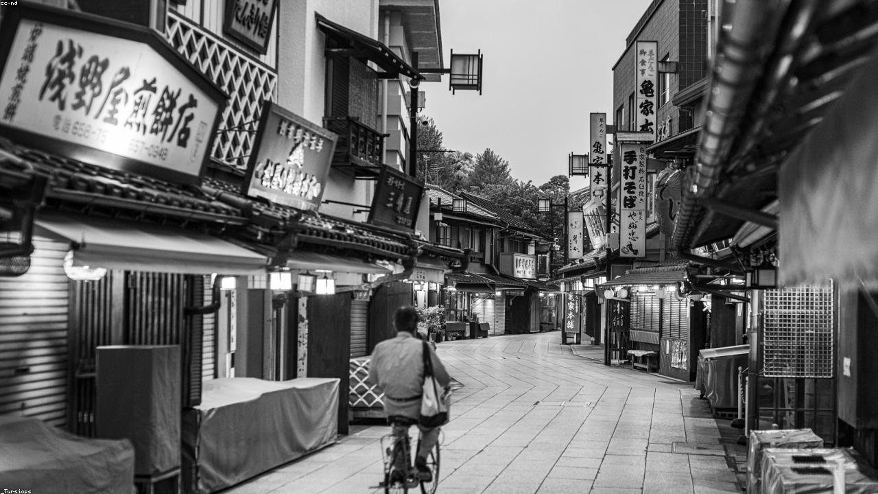 灯りのともる日本の伝統的な商店街の風景